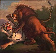 Panthera onca, es el único miembro del género panthera existente en la actualidad en el nuevo mundo.pruebas de adn muestran que esta especie, el león (panthera leo), el tigre (panthera tigris), el leopardo (panthera pardus), el leopardo de las nieves (panthera uncia), y la pantera nebulosa (neofelis nebulosa) comparten un antepasado común, y que este grupo tiene una edad de entre 6 y 10. Leon Contra Tigre Wikipedia La Enciclopedia Libre