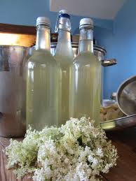 Gathering Elder Flowers A Herb For Interconnectedness Herbs Herbal Recipes Herbal Infusion