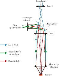The change in the wavelength of light that occurs when a light beam is deflected by molecules after passing through a transparent medium. High Temperature Raman Spectroscopy