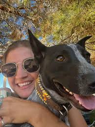 Has anyone seen my lost dog Maggie in Colorado Springs?