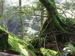 RÃ©sultat de recherche d'images pour "photos libres de droit paysages haute vallÃ©e de l'aude"