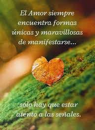 Pin By Jose Maria Pozo Dominguez On Frases Bellas Quotes Love
