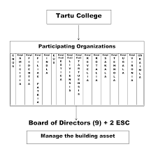 Tartu College Governance Organizational Structure
