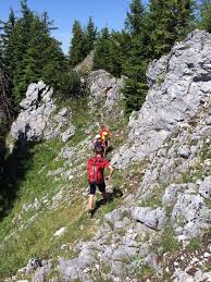 Det ligger i distriktet politischer bezirk gmunden och förbundslandet oberösterreich, i den centrala delen av landet, 190 km väster om huvudstaden wien. Bergsteiger Am Zwillingskogel Vermisst Grossangelegte Suchaktion Salzi At