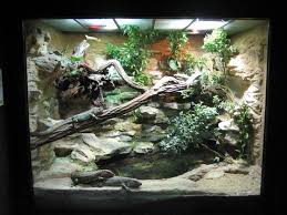 54c19661bc934871493c1b73beb9c229 Jpg 736 552 Decor Terrarium Idees Terrariums Paludarium