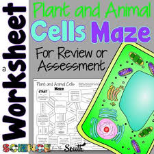 In both animals and plants, cells generally become specialized to perform certain functions. Plant And Animals Cells Maze Worksheet For Review Or Assessment Plant And Animal Cells Animal Cell Maze Worksheet