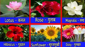 We did not find results for: Best Of Flowers Name In Hindi And English Free Watch Download Todaypk