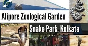 I Have A Feeling You Ll Like This One Kolkata Zoo Snake Park Snakes In Alipore Zoological Garden Https Youtube Co Zoological Garden Garden Snakes Park