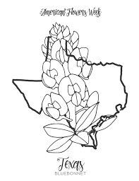 Grab your free copy of one of our most popular and engaging activity packets! 50 State Flowers Free Coloring Pages American Flowers Week