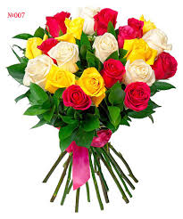 We did not find results for: 4 Foremost Rules To Follow While Picking Valentine Flowers For Your Love Rose Day Flowers