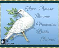 Palme domenica delle buona pasqua pace risurrezione simboli giorno ali commento vangelo ed colomba commenti della mar aprile marzo nella. Buongiorno A Tutti Buona Domenica Delle Palme Toluna
