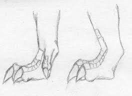 Image Result For Dragon Feet Drawings Dragon Drawing Dragon Sketch Feet Drawing Feet drawing furry drawing drawing tips drawing ideas dragon claw dragon art creature concept art creature design anatomy reference. dragon drawing dragon sketch feet drawing