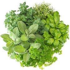 Rehatkan sendi semasa serangan gout. Gout Tuam Dengan Garam Panas Petua Hilangkan Gout Facebook