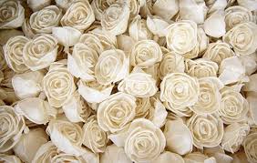 Largest selection of sola flowers, fast shipping, and best prices. At Hamilton S Sola Flowers Canada Wooden Flowers Look Like The Real Thing Thespec Com