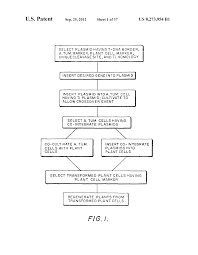 Plant cells contain almost everything that animal cells do, and then several unique organelles. Us8273954b1 Genetically Transformed Plants Google Patents