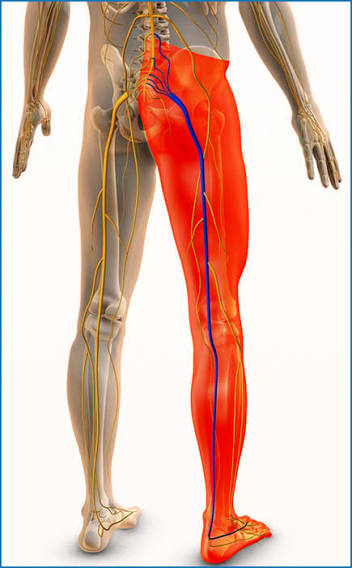 Sciatica pain consultation and lower back assessment