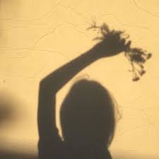 Pin By Shereen Sweet On Ch Laurine Thorne Shadow Pictures Shadow Photography Shadow Photos