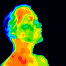 Bei säuglingen und kleinkindern liegt die grenze niedriger, denn bereits eine temperatur ab 38 grad wird als fieber eingestuft und es ist ratsam einen arzt aufzusuchen. Was Ist Die Normale Korpertemperatur Fit For Fun Wissen