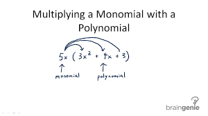 10 multiplying monomials and polynomials 10.mp4 download. Multiply Polynomials By Monomials Ck 12 Foundation