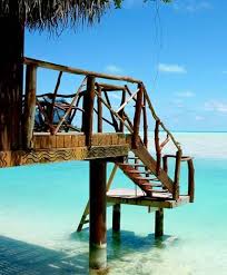We'll show you to make great meals. Cook Islands