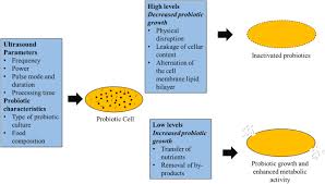 There are also safety concerns with the use of probiotics in infants and. Current Status Of Non Thermal Processing Of Probiotic Foods A Review Sciencedirect