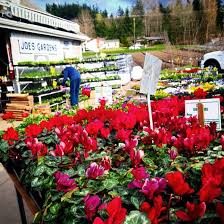 Shop our floral department at fredmeyer. Get Ready For Spring Gardening At Joe S Gardens In Bellingham Bellingham Whatcom County Tourism
