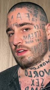 VINCENT LANGLOIS (@vincentlangloisofficiel)’s videos with original sound