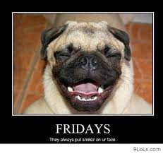 Funny positive attitude quotes to getlife.ations for life. Funny Quotes About Friday Morning Quotesgram