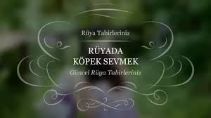 Ruyada Kopek Sevmek Tabiri Ve Yorumu Youtube