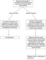 Bipolar disorder is a complex mood disorder. Role Of Endogenous Ouabain In The Etiology Of Bipolar Disorder International Journal Of Bipolar Disorders Full Text