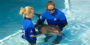 Case Dismissed Latest Junk Lawsuit Thrown Out In Law Suite Sea World Junk