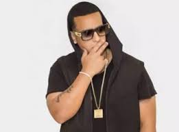 Mireddys is ceo and manager of el cartel records. Daddy Yankee Bio Age Height Weight Net Worth Facts And Family Idolwiki Com