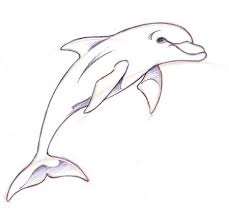 Jumping Dolphin Drawing Google Search Dolphin Drawing Drawings Drawing Sketches