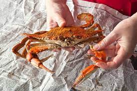 Easy Steamed Blue Crabs Recipe Recipe Crab Recipes Blue Crab Recipes Blue Crab