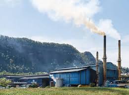 Fall in recent time, climate change can be seen affecting many lives of malaysians. Is Malaysia Doing Enough To Avoid 1 5 C Of Global Warming Asia Dialogue