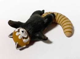 ガチャガチャの もうしら寝 レッサーパンダ が寝相が超カワイイ 買てみた レッサーパンダ 寝相 ガチャガチャ