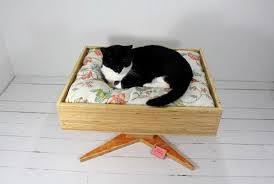 Kedi Esyasi Kedi Mobilyasi Dekorasyon Yaratici Fikirler Kedi