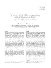 Image result for Carex mildbraediana