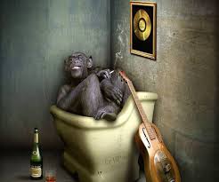 Monkey wallpaper animal wallpaper wall wallpaper ireland country daiquiri jungle animals order prints digital prints watercolor paintings. Drunk Monkey Wallpaper Download To Your Mobile From Phoneky