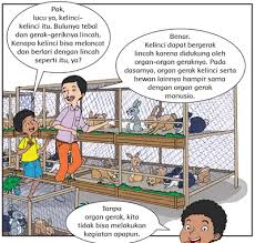 Soal tematik kelas 5 tema 1 subtema 1 organ gerak hewan k13 dan kunci jawabansage 8 mode. Pembelajaran 1 Tema 1 Subtema 1 Organ Gerak Hewan