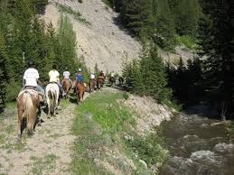 Best of all, your children will meet plenty of other kids from across the country who share a similar love for animals. Pin On Wyoming Horse Camp For Girls Alpengirl Camp