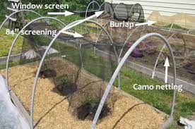 Check spelling or type a new query. Vegetable Garden Shade Ideas