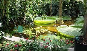 Digitaler Fuhrer Durch Den Botanischen Garten Stadt Linz