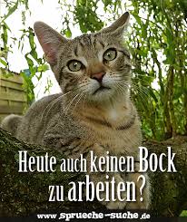 Lustige Bilder Samstag Arbeiten Lustige Bilder