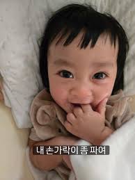 시현이 보고가세요