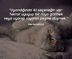 Herakleitos Resimler Guzel Soz