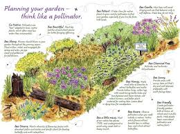 Planning Your Garden Think Like A Pollinator Pollinator Garden Pollinator Garden Design Pollinator Garden Plans