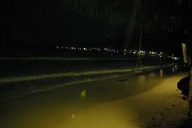Dans l'oeuvre de boulle, taylor, l'un des astronautes égarés, découvre sur une plage. La Plage La Nuit Picture Of Koh Chang Paradise Resort Spa Ko Chang Tripadvisor
