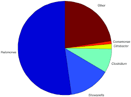 Pie Chart Showing The Abundance Of The Otus With A Frequency