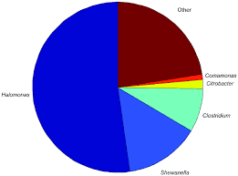 pie chart showing the abundance of the otus with a frequency